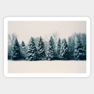 Winter and Woods Sticker